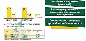 Торговая компания Семена56