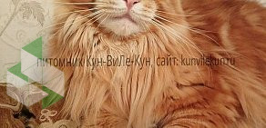Питомник кошек породы Мейн-кун Кун-ВиЛе-Кун