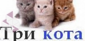 Ветеринарная клиника Три кота на Новочеркасском проспекте