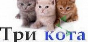 Ветеринарная клиника Три кота на метро Чернышевская