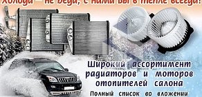 Магазин автодеталей ФеникС на улице Менделеева