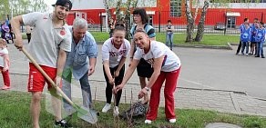 Ледовый дворец им. Александра Кожевникова