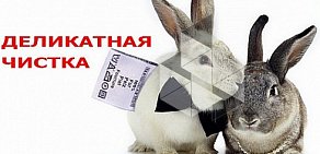 Срочная химчистка в Устиновском районе