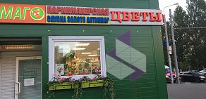 Магазин цветов на Череповецкой улице, 15