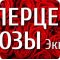 Оптово-розничный магазин цветов Тюмцветторг