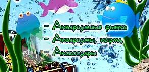 Салон аквариумистики Подводная сказка на Кольцевой улице 