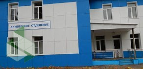 Рузаевская центральная районная больница на улице Маяковского, 90 в Рузаевке