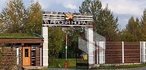 Спортивно-стрелковый комплекс Лисья Нора в Дмитровском районе