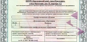 Институт образования взрослых