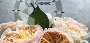 Медицинский центр Сириус на Северной улице