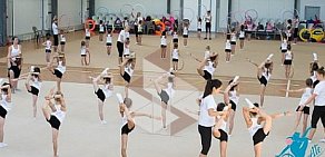 Школа художественной гимнастики Pirouette на Дубининской улице, 69