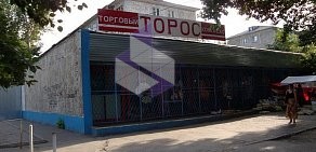 Торос на улице Сергея Тюленина