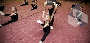 Студия гимнастики и танца Анны Серовой на Богатырском проспекте, 50 к 3