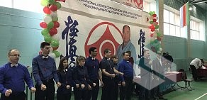 Школа Национальный Союз Каратэ Кекусин Кайкан РТ на Краснококшайской улице, 119