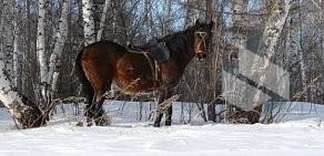 База отдыха Сказ в Рябиновке