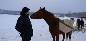 База отдыха Сказ в Рябиновке