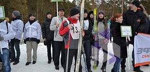 Консалтинговая фирма Экспертиза на Каслинской улице