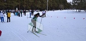 Консалтинговая фирма Экспертиза на Каслинской улице