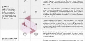 Компания по производству и продаже хирургического шовного материала Балумед