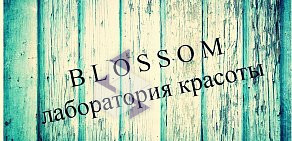 Салон красоты Blossom на Изюмской улице, 39 к 1 