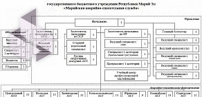 Марийская аварийно-спасательная служба