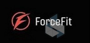 Студия фитнеса ForceFit на Вознесенском проспекте