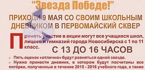 Общественная организация Новосибирская ассоциация детских объединений