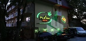 Бильярдная в отеле Платан