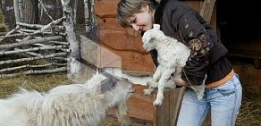 Русские бани на Базайской улице