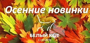 Белый Кот Сибирь на Октябрьской улице