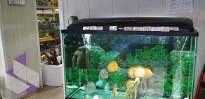 Магазин аквариумистики и зоотоваров Дельфин на Печорской улице