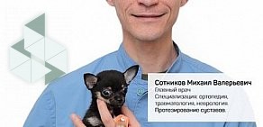 Ветеринарная клиника доктора Сотникова на метро Ленинский проспект