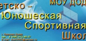 Дюсш, моу до на улице Гагарина, 11 в Орехово-Зуево