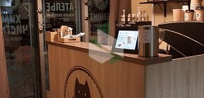 Кофейня Cat`s cup coffee company