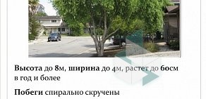 Ландшафтное предприятие Парк-Сервис на Дорожной улице