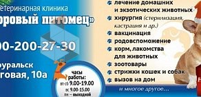 Ветеринарная клиника Здоровый питомец на Береговой улице, 10а в Первоуральске