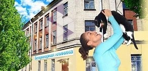 Ветеринарная клиника 4 Лапы на шоссе Революции