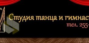 Студия танца и гимнастики Фа на метро Красный проспект