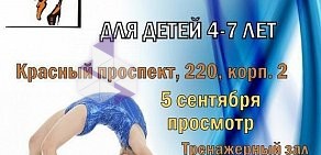 Студия танца и гимнастики Фа на метро Красный проспект