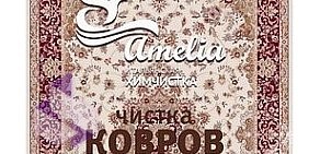 Химчистка Amelia на метро Кузьминки