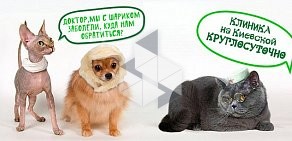 Ветеринарная клиника ZOO ЦЕНТР на улице Магнитогорской