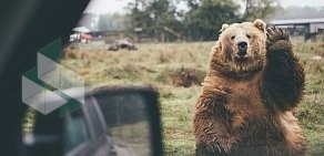 Пейнтбольный клуб Русские медведи на улице Голый камень