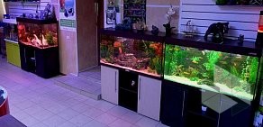 Салон аквариумов AquaHouse