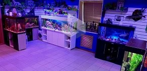 Салон аквариумов AquaHouse