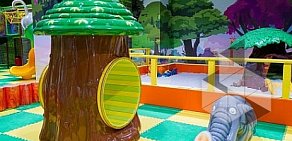 Детский игровой центр Pioneer Park