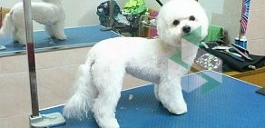 Зоосалон Petgroomer на метро Пионерская