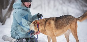 Pechatniki Pets