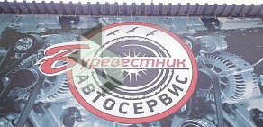 Автосервис Burevestnik в Центральном районе