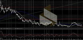 Информационный портал Единая Финансовая Служба Ростова