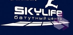 Батутный центр Skylife на Московском шоссе